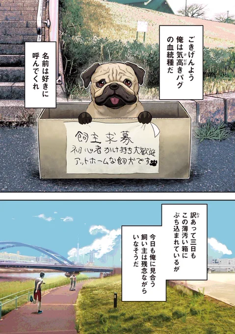 (1/7) 