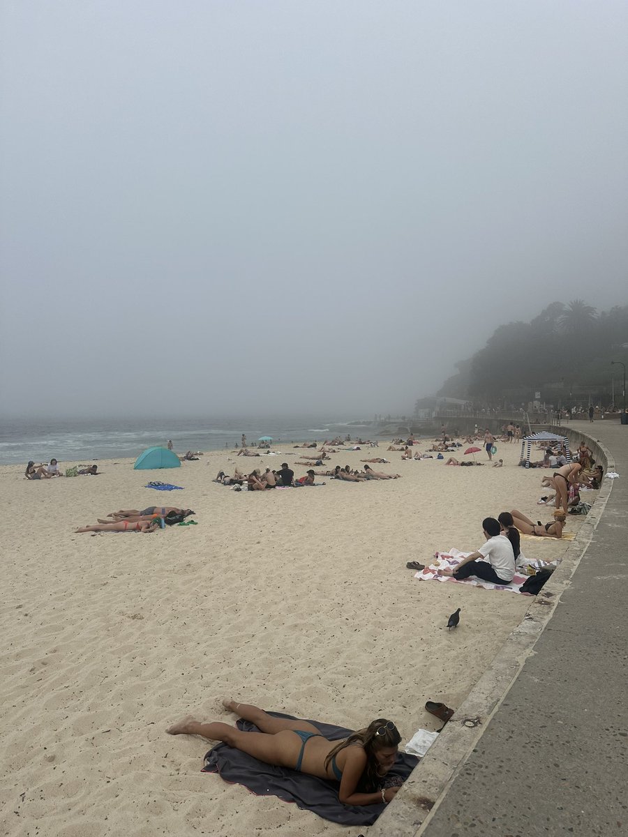 MConallin's tweet photo. The old 2pm fog getting Bronte good! #seamist #thankstimbailey https://t.co/TexzxMjeNg