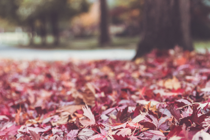 N1 also announced partnerships with Sushi and Amber Group, as well as projects in development, including Mindshare, a SocialFi app, and a “Westworld-inspired onchain AI simulation.”