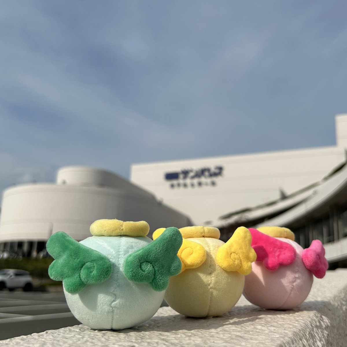 NCT WISH 2024 ASIA TOUR LOG in JAPAN」福岡公演1日目 会場受取が