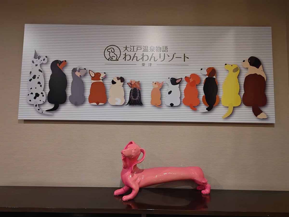 chaco___maki's tweet photo. どこでも一緒なイッヌ

#パピヨン
#大江戸温泉物語わんわんリゾート粟津 https://t.co/eruoqZvOEz