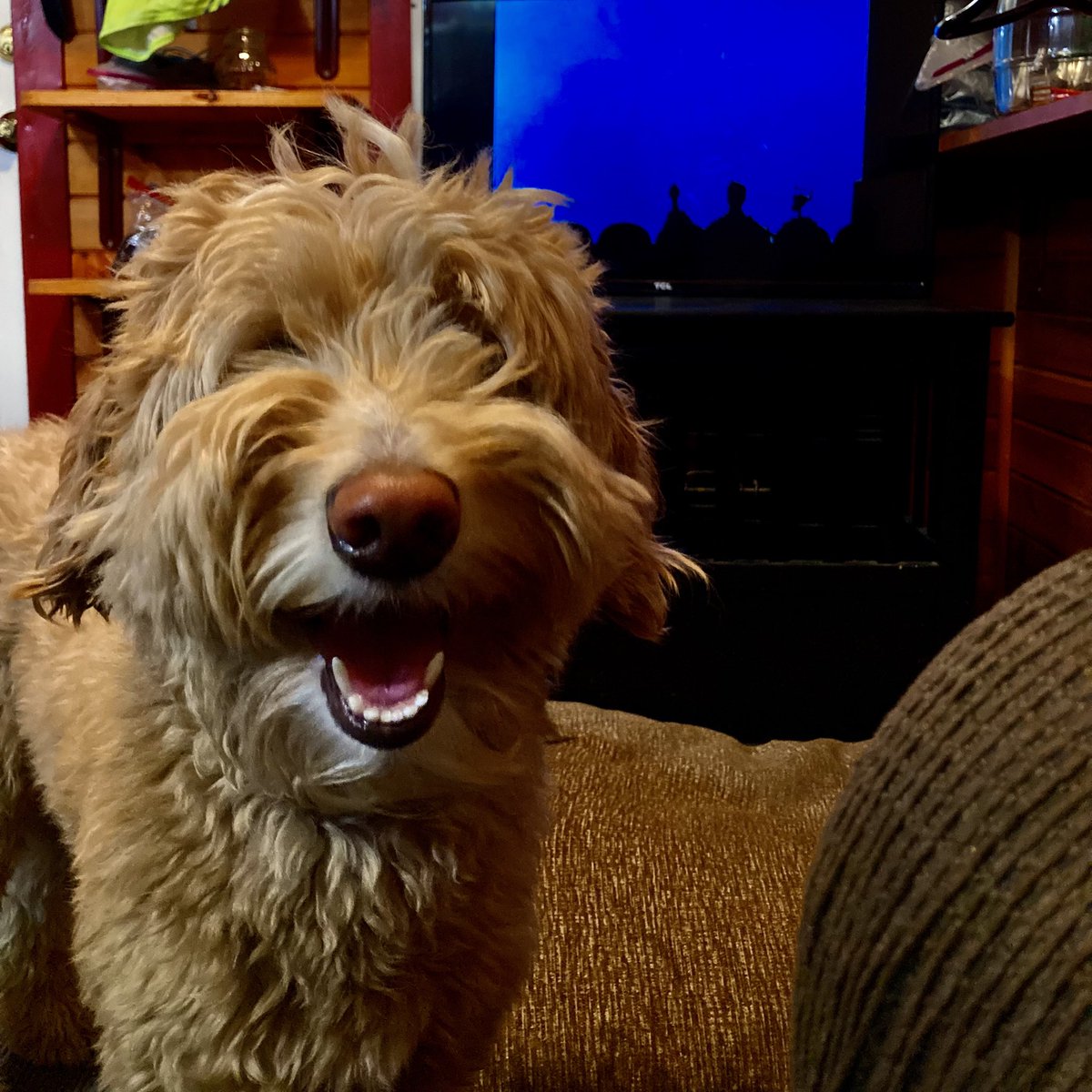 Murphy tweet media