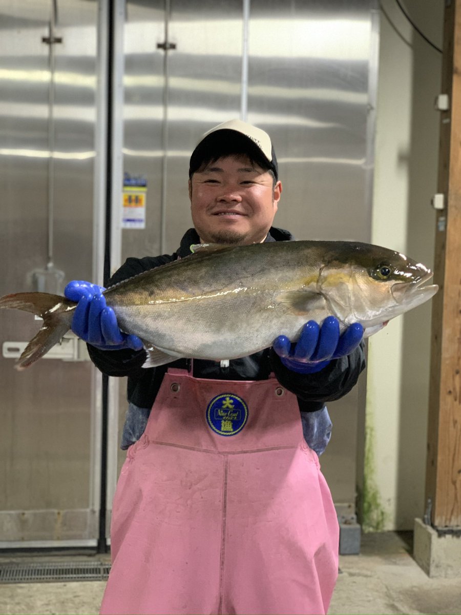 SakanoSuisan8's tweet photo. 冬といったら魚‼️
坂野水産からプレゼント企画🎁

長崎では珍しい養殖が難しい幻の魚
【カンパチ】心を込めて養殖された
平戸なつ香カンパチ
を半身（真空パック約1kg）を
1名様にプレゼント🐟
12/8(日)の23:59まで受付ます❣️
#プレゼントキャンペーン
フォロー&amp; リポストで応募
#懸賞 #正月 #刺身 https://t.co/MH5jw4EIkQ