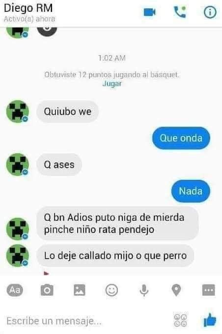 Chats raros (@raroschateando) on Twitter photo 