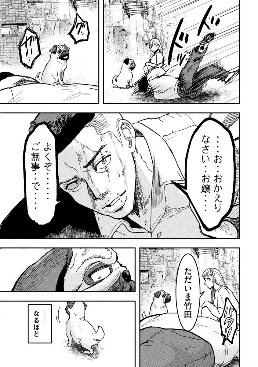 (7/7) 