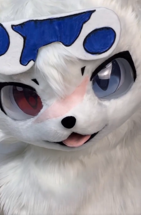 ThomasLuca40752's tweet photo. An adorable plush puppy on display
—do you like it?🐱🐹🐰🐯
#handmade #furry #kig #furrysuit #FurryFashion #fursuit #handmade #furrycommunity #cosplay #kigurumi #furry #custommade #kigurumimask #FursuitsEveryday https://t.co/qZhDuklBcZ