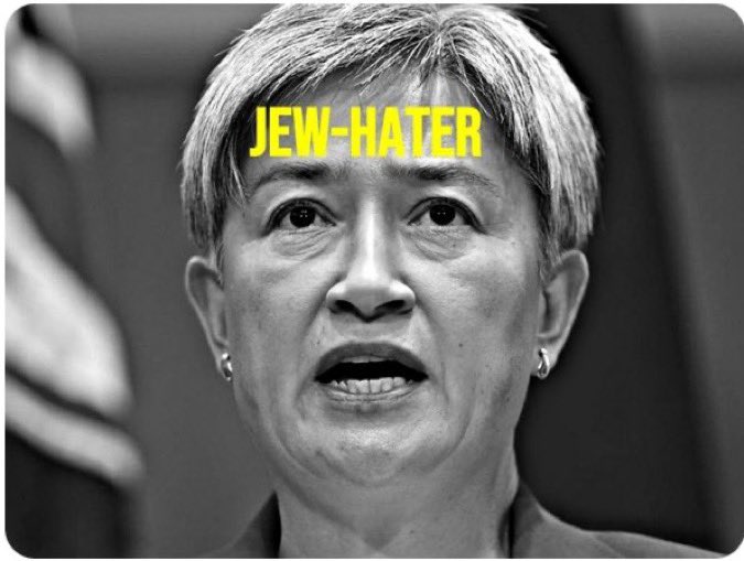 Pharquenauld's tweet photo. @RositaDaz48 Albanese and Wong are traitorous bastards that are wrecking Australia’s standing in the international community. These two blokes have overseen the increased terrorist activities in Australia with their anti Jewish policies and behaviour. They should be jailed for life. https://t.co/bFwA72N5Q2