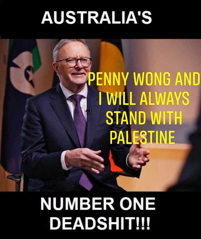 Pharquenauld's tweet photo. @RositaDaz48 Albanese and Wong are traitorous bastards that are wrecking Australia’s standing in the international community. These two blokes have overseen the increased terrorist activities in Australia with their anti Jewish policies and behaviour. They should be jailed for life. https://t.co/bFwA72N5Q2