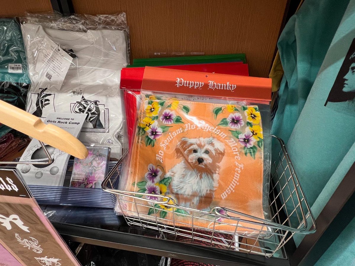 diskunion_girlside tweet media