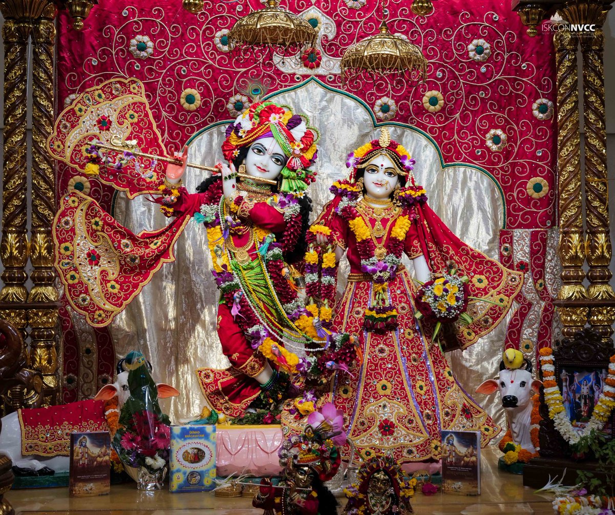 ISKCONPune's tweet photo. 🙏🏽Today's Darshan 📿 🗓06-12-2024🙏
🌷Sri Sri Radhavrindavanchandra🌷
🚩@ISKCONNVCCPune🚩
.
.
#ISKCONNVCC #ISKCONPune #ISKCONNVCCPune #ISKCON #6thdecember #6thdecember2024 #Friday
#Harinaamsankirtan #Radheshyamdas #Radheradhe
#Sankirtan #Kirtan #Vrindavan #Mayapur #Prabhupada https://t.co/XWszLGCcjn