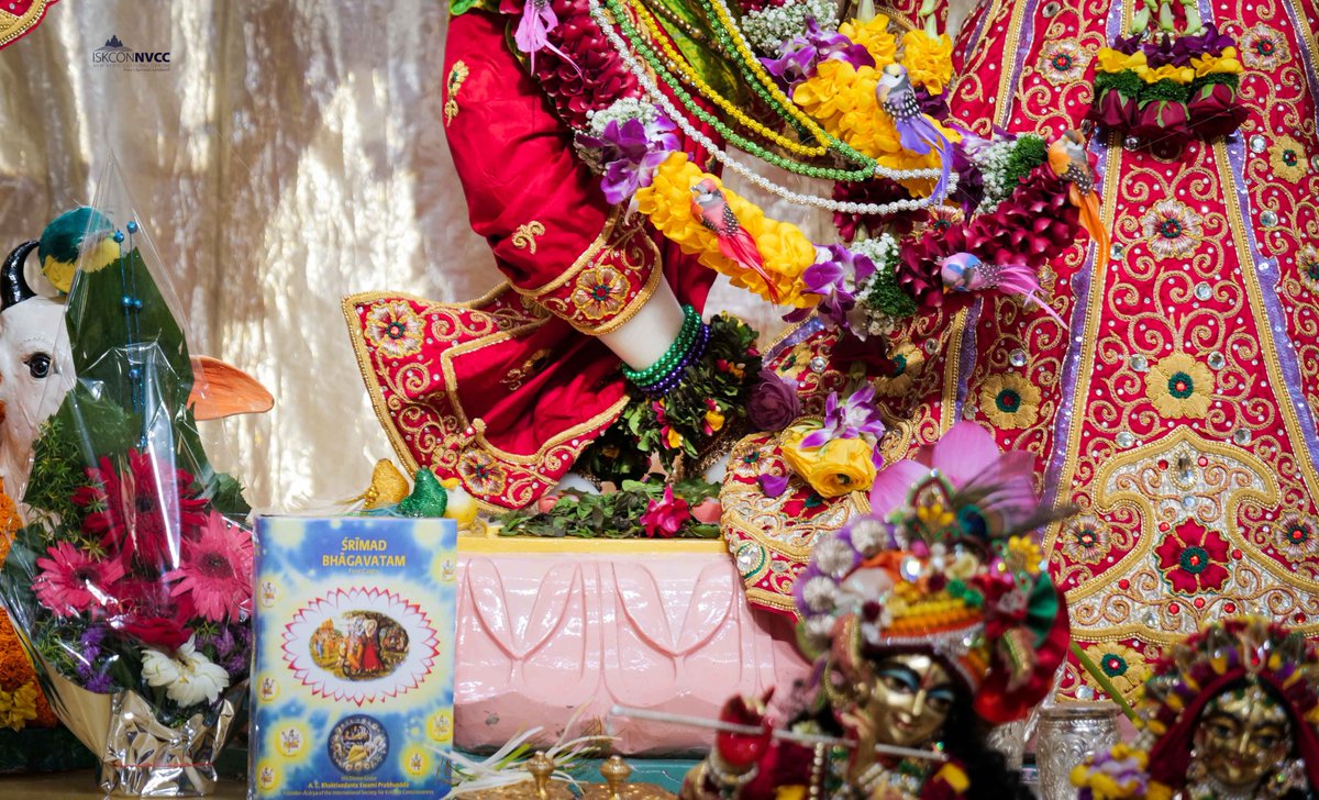 ISKCONPune's tweet photo. 🙏🏽Today's Darshan 📿 🗓06-12-2024🙏
🌷Sri Sri Radhavrindavanchandra🌷
🚩@ISKCONNVCCPune🚩
.
.
#ISKCONNVCC #ISKCONPune #ISKCONNVCCPune #ISKCON #6thdecember #6thdecember2024 #Friday
#Harinaamsankirtan #Radheshyamdas #Radheradhe
#Sankirtan #Kirtan #Vrindavan #Mayapur #Prabhupada https://t.co/XWszLGCcjn