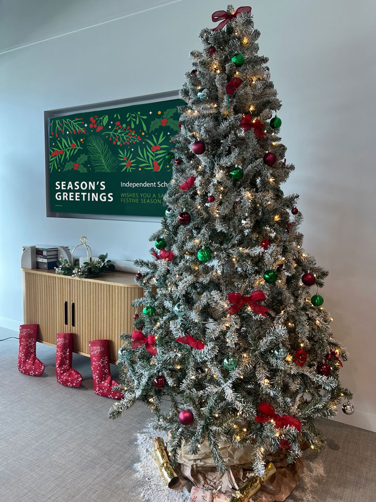 🎄✨ "It's beginning to look a lot like Christmas at ISQ! Our tree is up and sparkling, bringing festive cheer to everyone. 🎅🎁