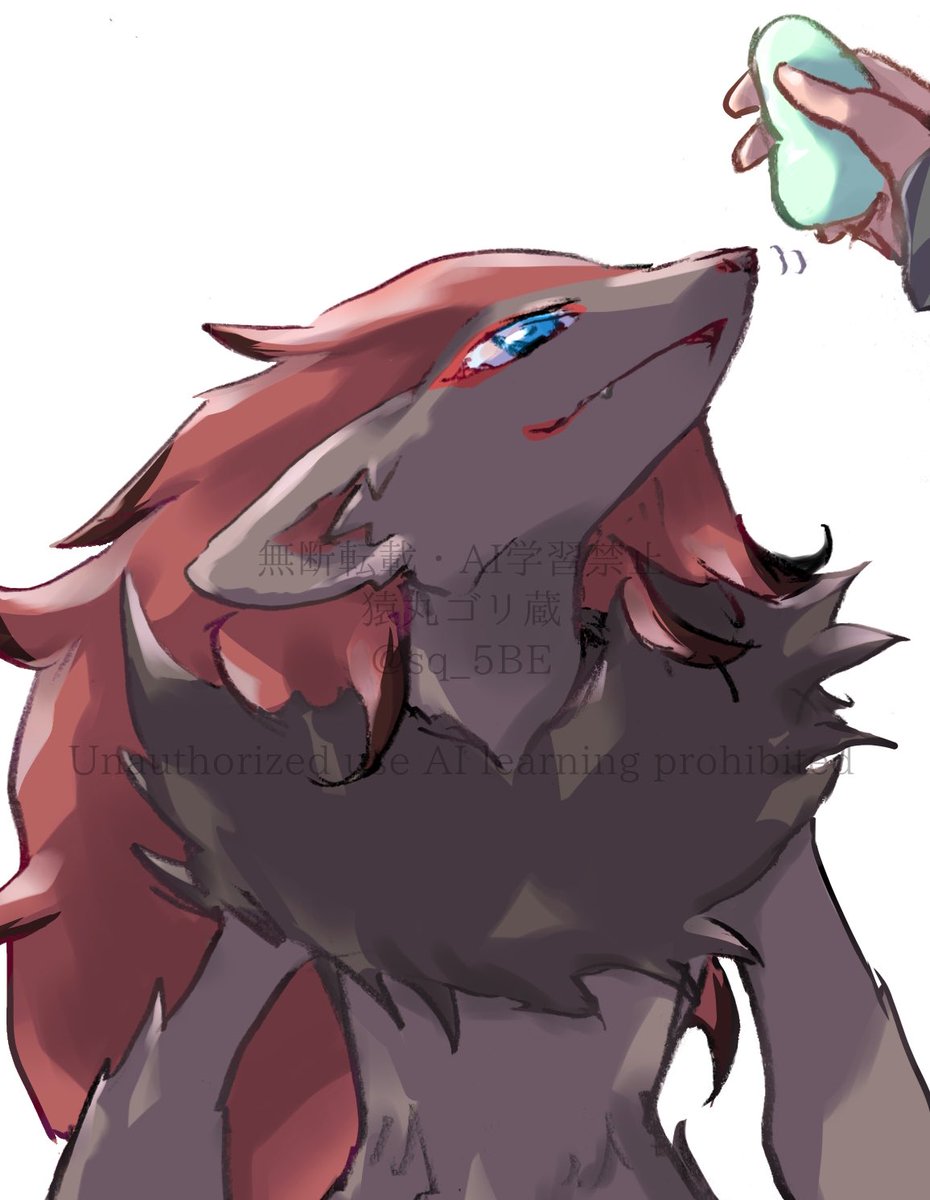 #ポケモンイラスト #Zoroark
 ポケリフレ🫘