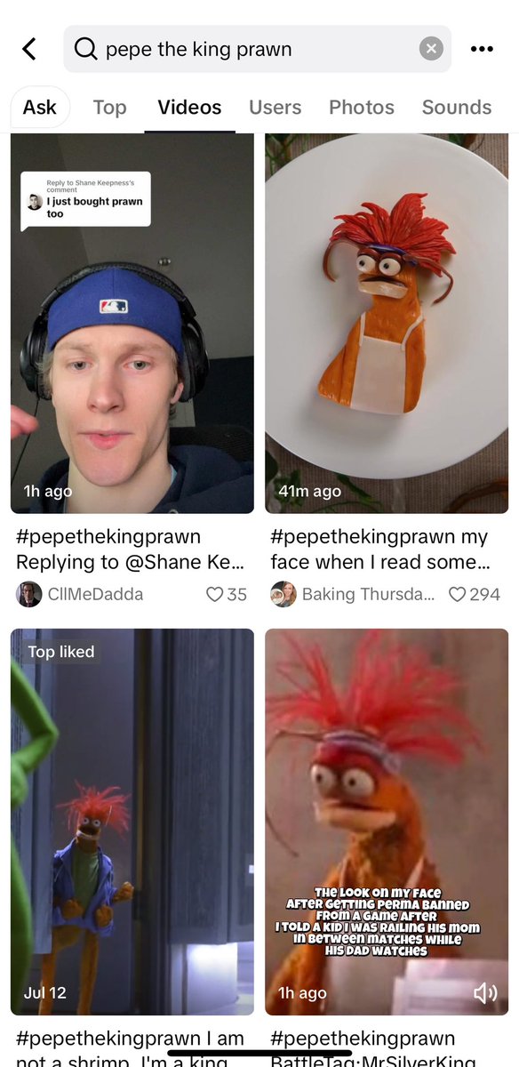 PepeTheKingPrawn tweet media