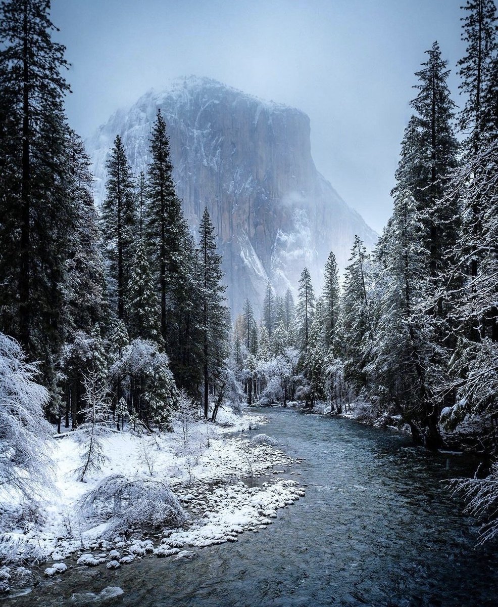 Traveluniverse's tweet photo. Yosemite in the winter is on another level ❄️ https://t.co/TlTd6tGYYi