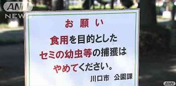Hagakur68430369's tweet photo. 埼玉県警発表
クルド「なぁ、JAP。川口も旭川も警察はSNSリレーじゃ動かないって。本当に日本人って頭いいのか？サムライなんて本当は実在しなかったんじゃね？捏造伝説🤣こんな無抵抗な民族の先祖が強く賢明だなんて誰が信じる？」 https://t.co/Tzr9NKexYj