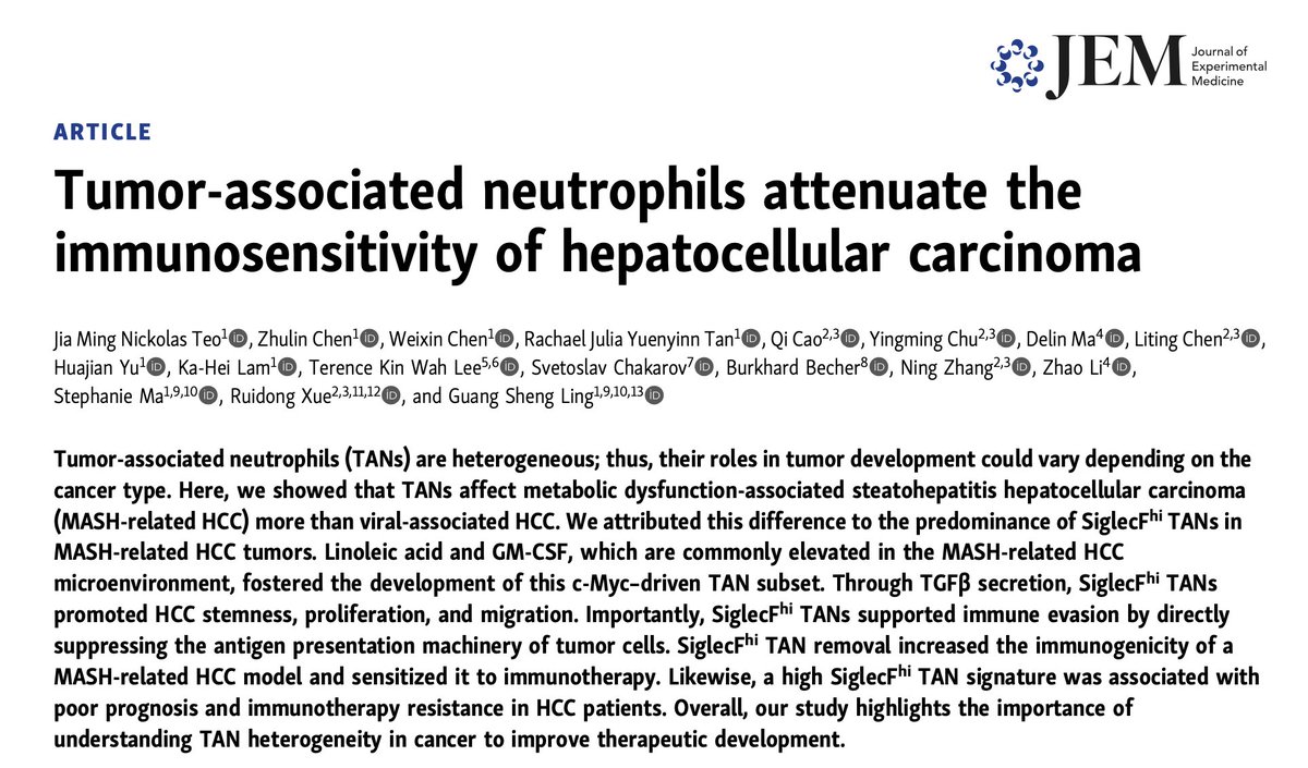 HLGroup2's tweet photo. It’s online! 

Check out our latest work published in @JExpMed ! Seems like there’s so much more to discover in the roles of neutrophils in cancer, they can all be different!  Click onto the link below to read more.

https://t.co/c0cRhUbMJQ https://t.co/AIlDQKw5Bz