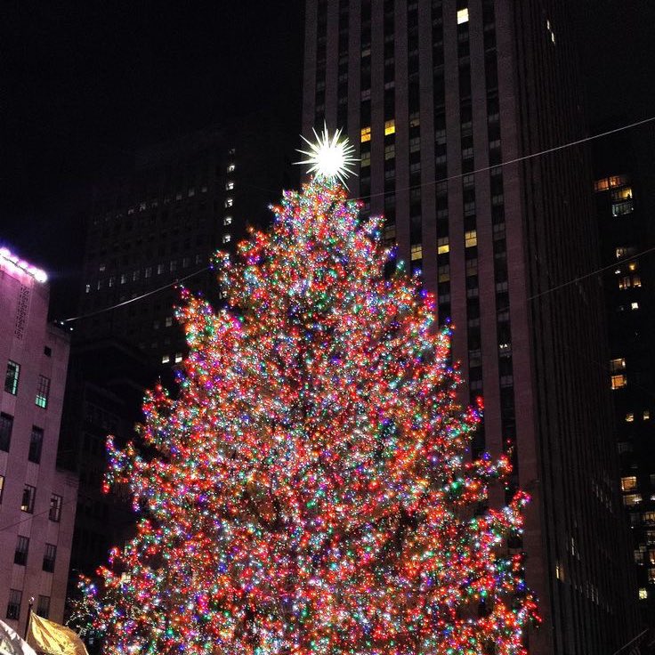 lostyouinmay's tweet photo. “ only 19 days until christmas 🎅🏻🦌🎄” https://t.co/TEdhIJ1FCg