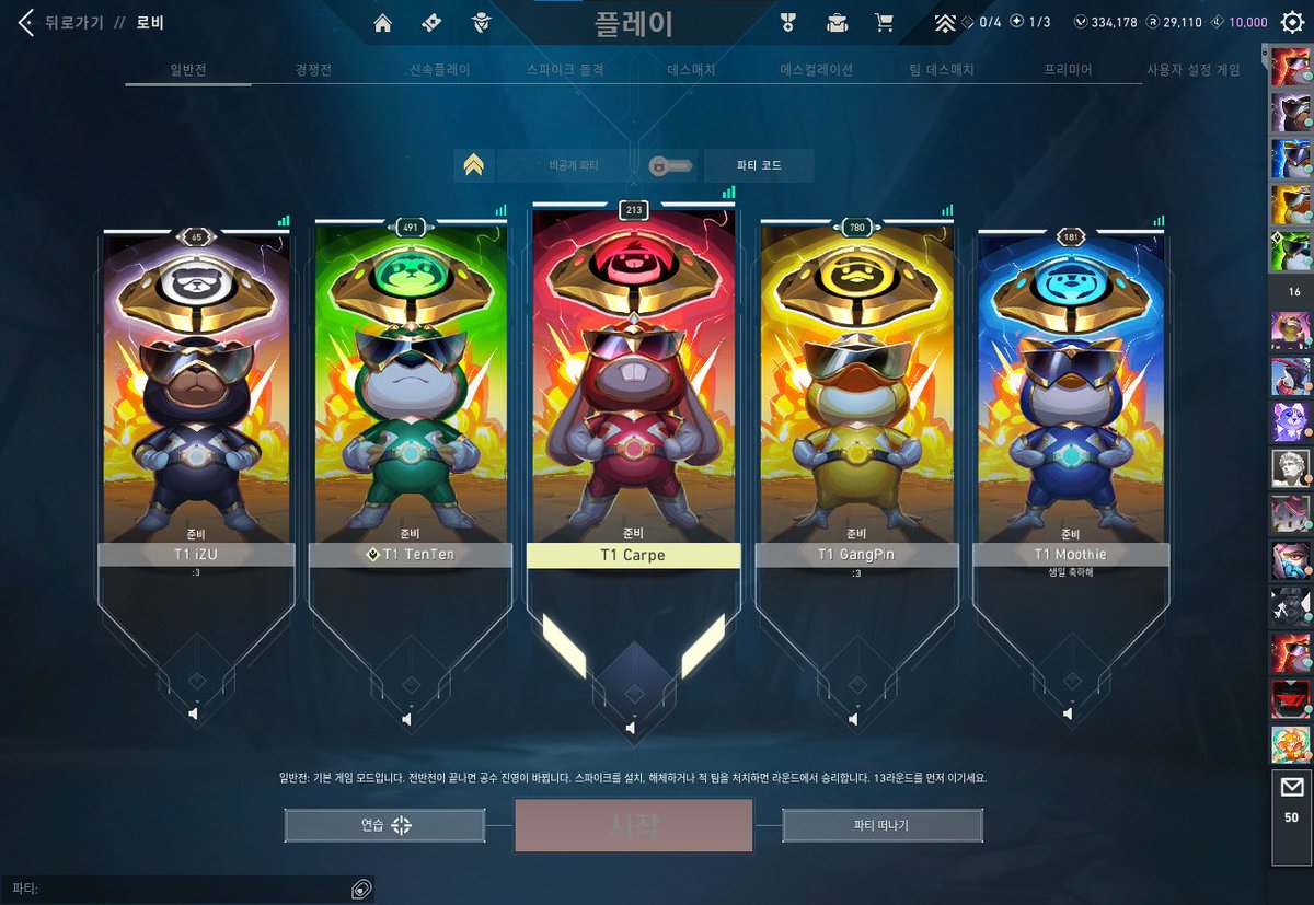 T1 dog ready