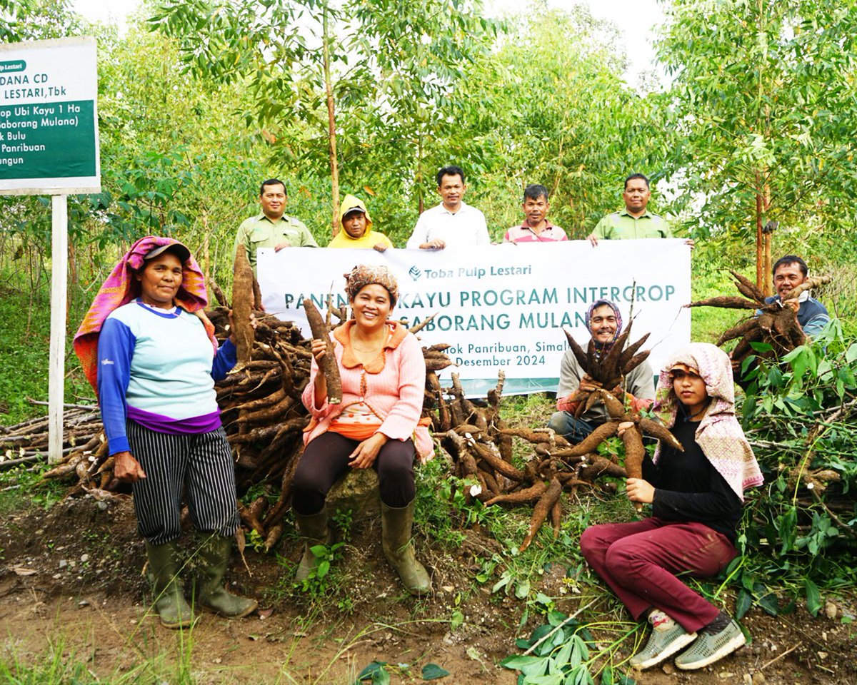 tobapulp_id's tweet photo. KTH Saborang Mulana dibentuk sejak tahun 2023 yang terdiri dari 28 KK, sebelumnya TPL telah memberikan dukungan berupa bibit ubi, kompos, pestisida serta monitoring yg dilakukan secara keberlanjutan.
#GoodForCommunity
#GoodForCountry
#GoodForCompany
#TPLHadirBerkontribusi
#Ubi https://t.co/CewEuKMuYm