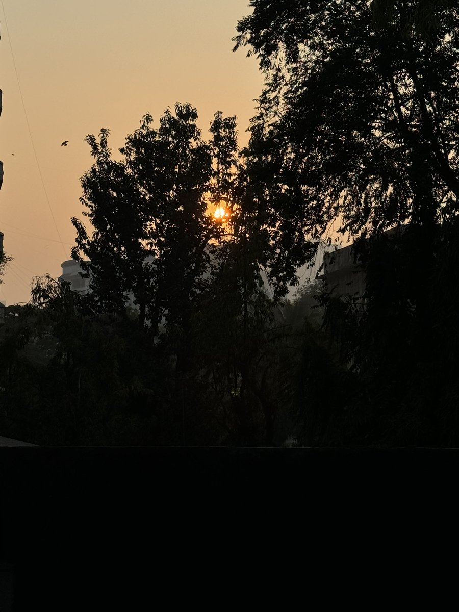 simplyAnnu's tweet photo. Started the day by watching a beautiful sunrise, a good walk, picking flowers and spending some time with these cute but not so small anymore puppies. https://t.co/e4EZzNiOGS