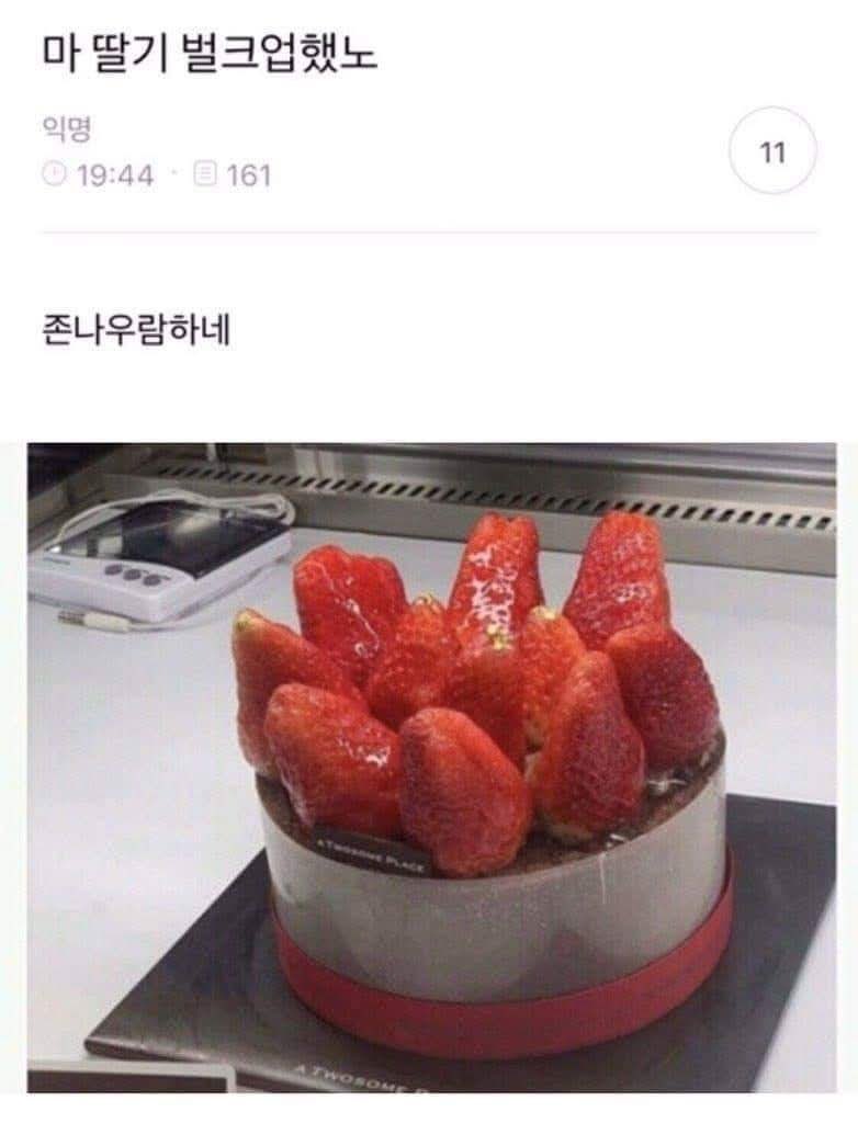 nico and … 翔翔 tweet media