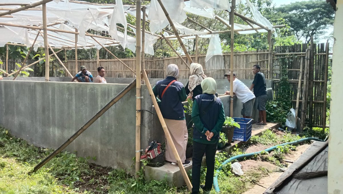 Farijan20's tweet photo. Jum'at, 06-12-2024, Parijan, S. St. Pi LuhkanKab. Kebumen SatminkalTegal, Pendampingan panen lele ibu-ibu PKK Desa Karangpoh berat 305kg harga Rp. 22.000/kg.
#GiatLuhSatminkalTegal
#BPPSDMKP
#luhlapor
#dlhkpKebumen https://t.co/ClNP1MqVbn