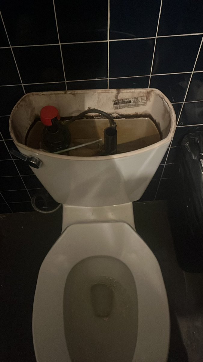 NaughtyFleming1's tweet image. We meet again…100 likes this time #UpperDecky #Bin612