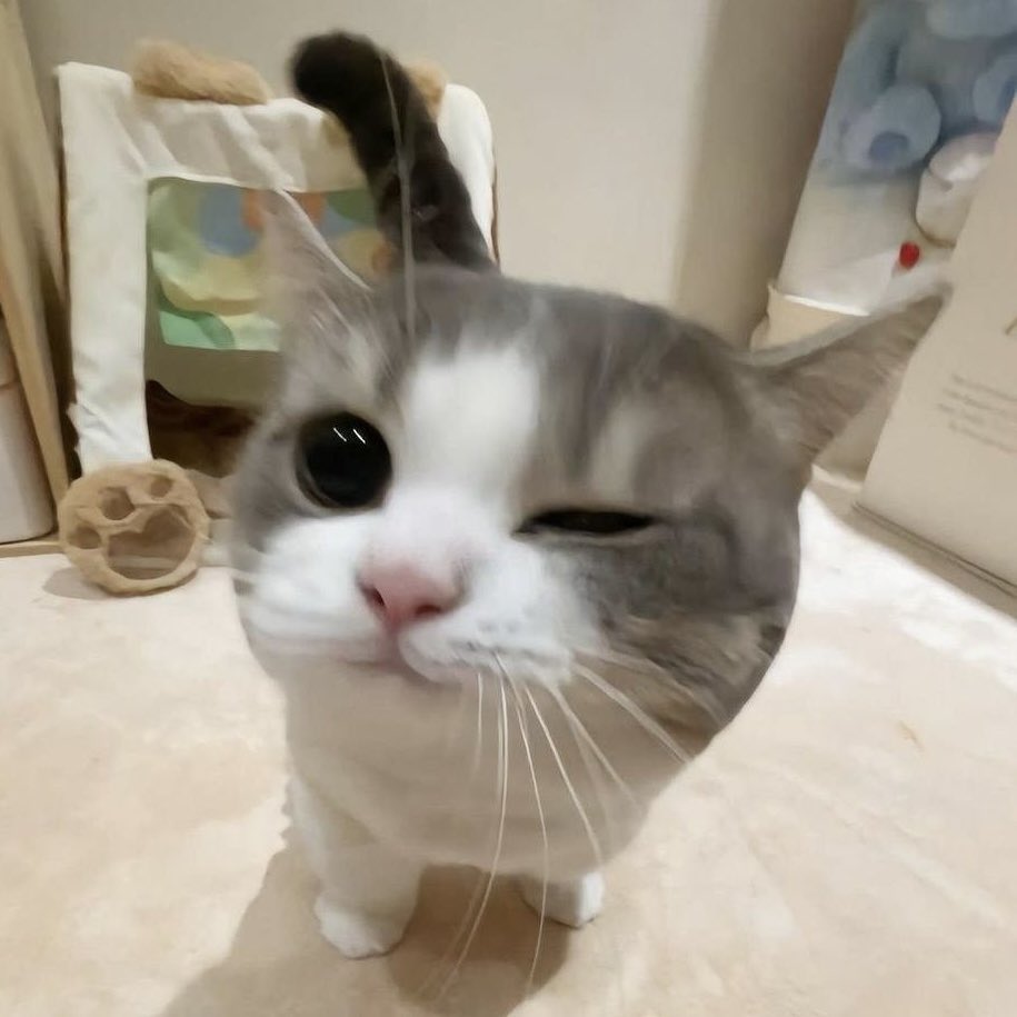 (˵ •̀ ᴗ - ˵ ) ✧