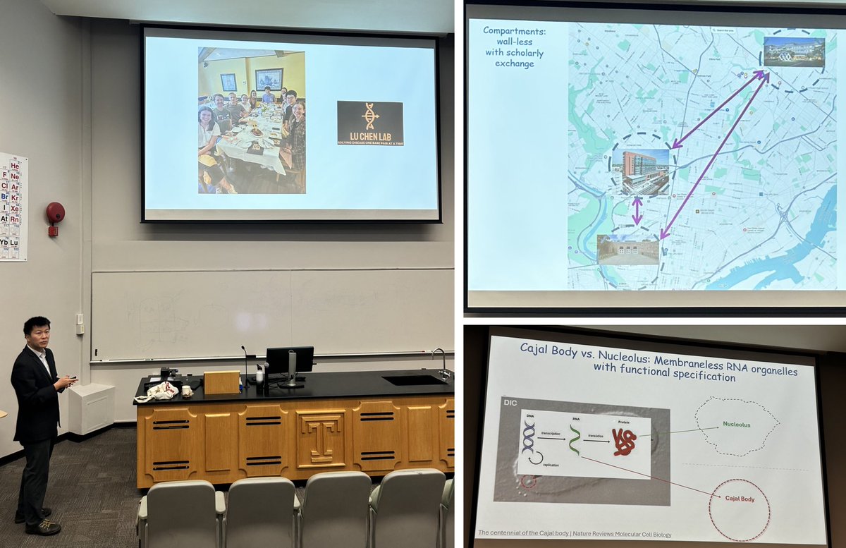 Ross Wang Lab (@rongsheng_wang) on Twitter photo An enlightening talk on RNA biomolecular condensates & telomere from <a href="/luchenlab_FCCC/">Lu Chen</a> ! Thanks for visiting <a href="/CST_TempleU/">CST Temple</a> from <a href="/CeiFccc/">@CEI-FCCC</a> <a href="/FoxChaseCancer/">Fox Chase Cancer Center</a> An enlightening talk on RNA biomolecular condensates & telomere from <a href="/luchenlab_FCCC/">Lu Chen</a> ! Thanks for visiting <a href="/CST_TempleU/">CST Temple</a> from <a href="/CeiFccc/">@CEI-FCCC</a> <a href="/FoxChaseCancer/">Fox Chase Cancer Center</a>