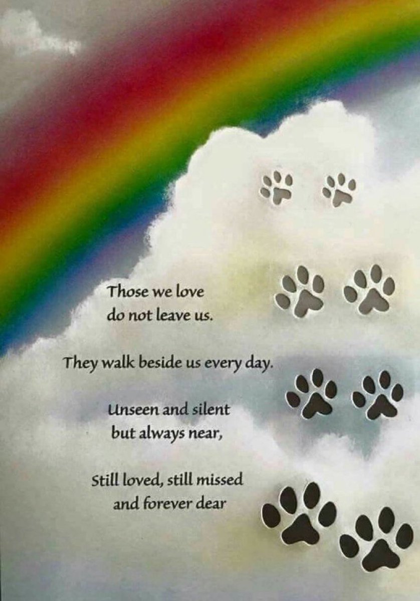 MrsSchabacker's tweet photo. @rexthetvterrier I'm so sorry for your loss๐๐
Rex was an amazing boy & will be remembered for his wit, wisdom & generosityโค๏ธ His legacy shall live on through his charity๐พ Thank you for sharing him with us!
Please accept my sincere condolences during this difficult time๐ค๐ฏ๏ธ๐๏ธ
#GoodbyeRex #Love https://t.co/wMaouXSsBX