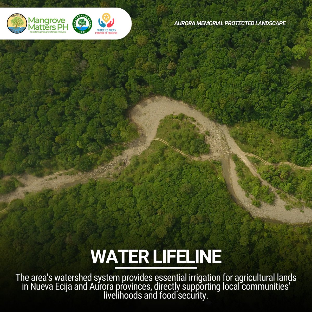 Get to know our 4th proposed protected area! 👇

The Aurora Memorial Protected Landscape spans 38,611 hectares across Aurora and Nueva Ecija provinces, featuring pristine closed canopy forests within the Sierra Mountain Range.