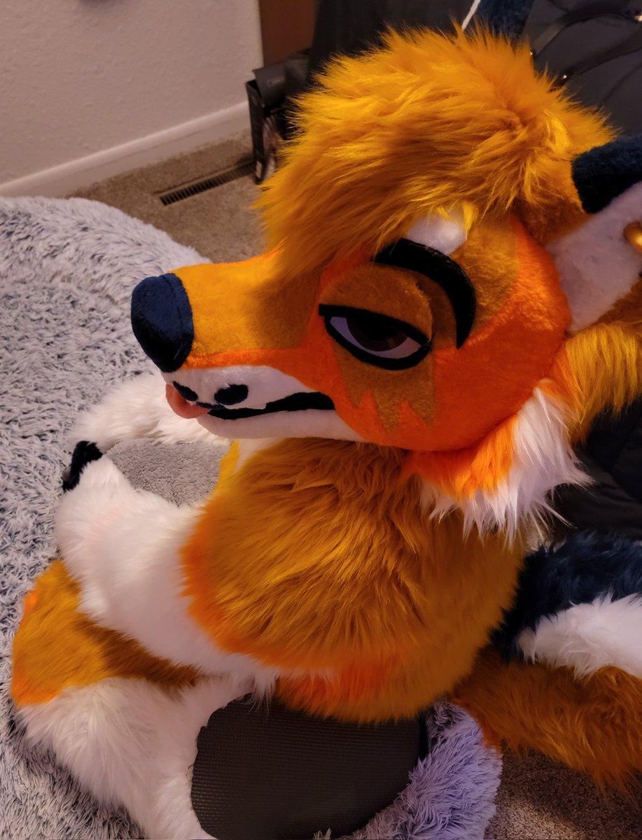 Which animals is this dog going to be able to harass this #MFF2024?