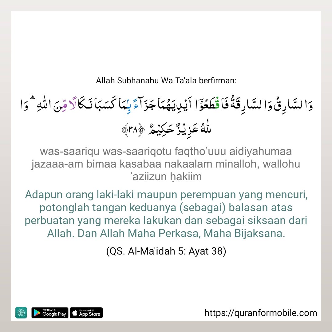 SHANDY TV tweet media