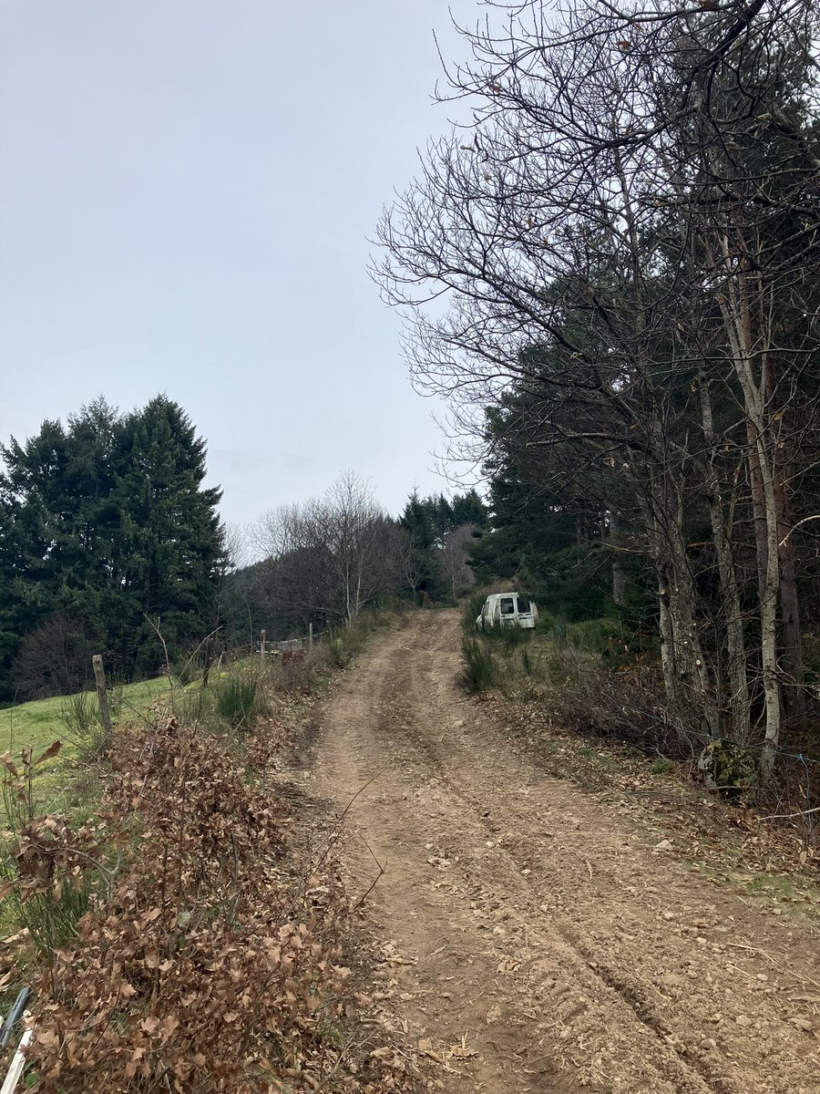 Greg07160 tweet media