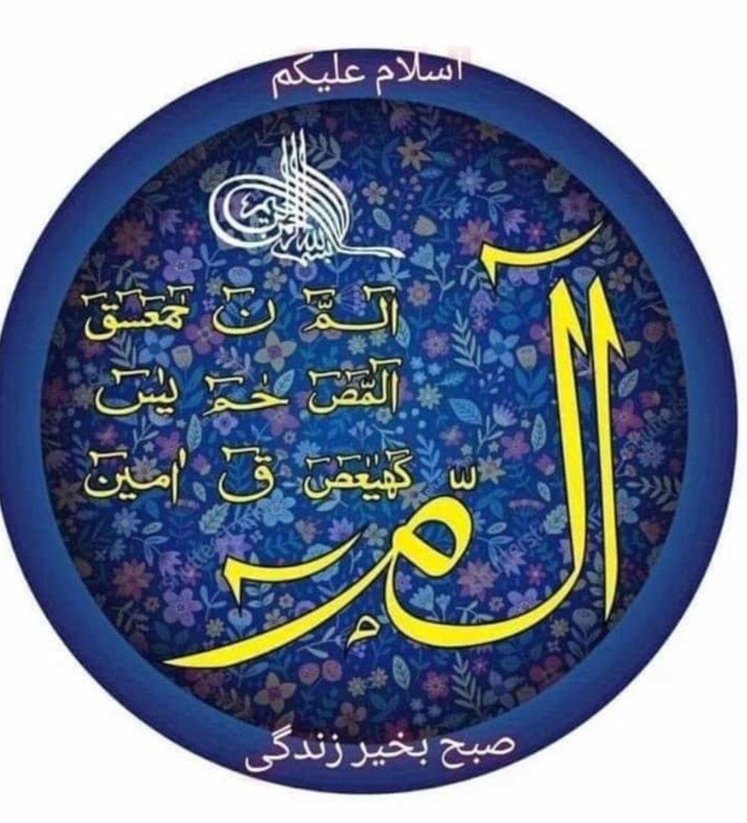 Azra Akbar sheikh 💙 tweet media