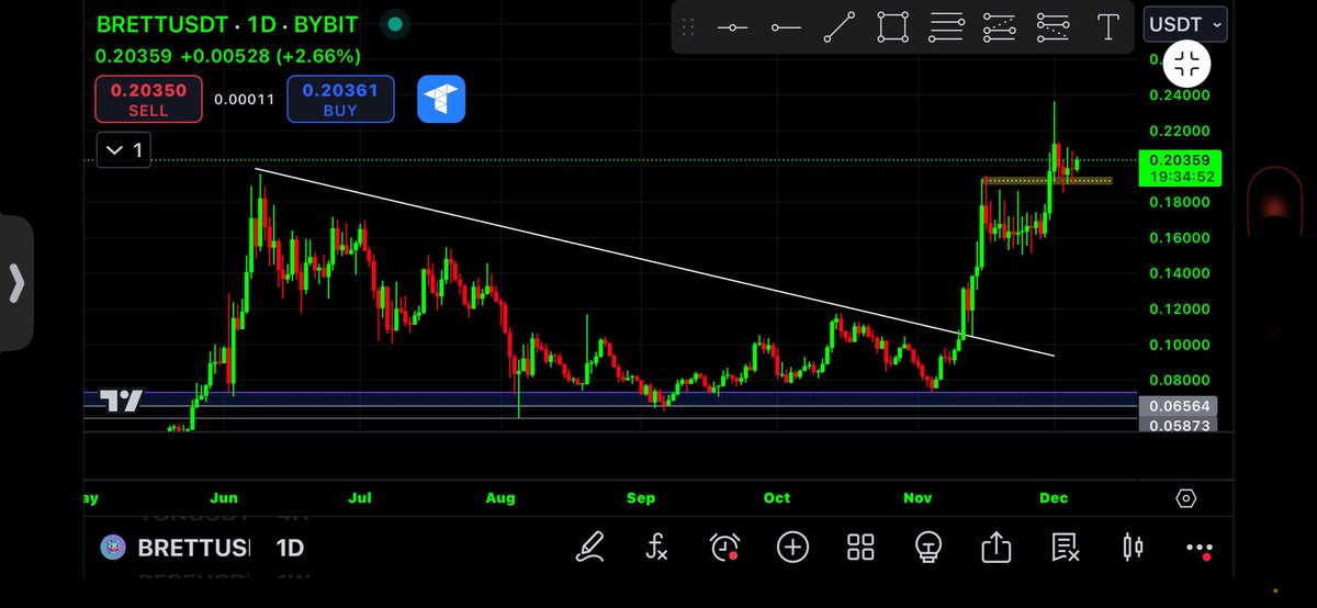 $PEPE and $BRETT both bull flagging above all time highs

We are about to send! 🚀 

They are the $DOGE &amp; $SHIB of this cycle.