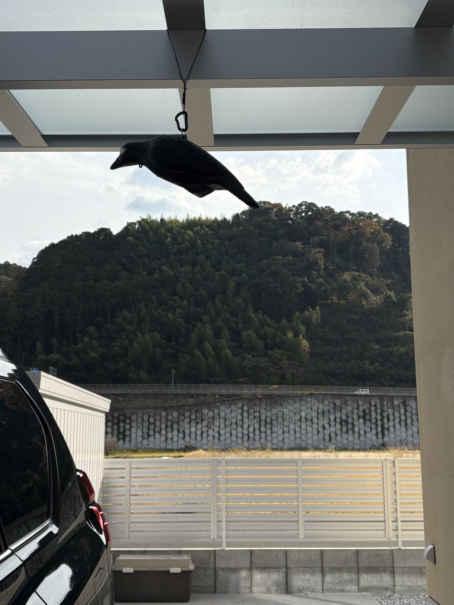 NKmrt_1038's tweet photo. キミすごいわ、ほんとに鳥フンされんなったで。 https://t.co/FxdGXz5DXy