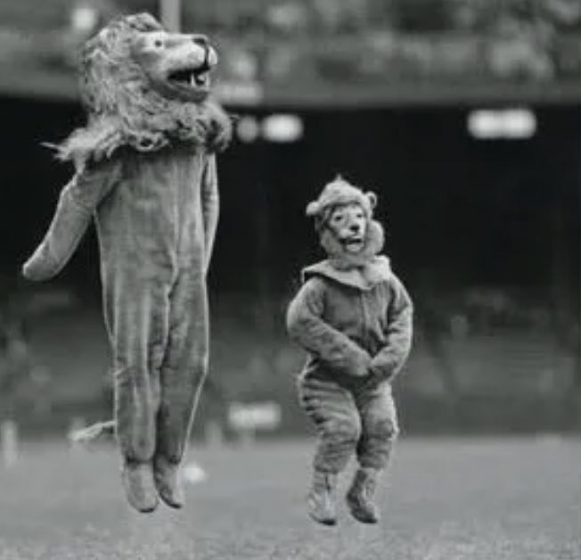 being a lions fan is not good for the heart (at least we won)