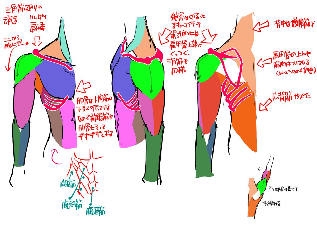 特に構造に関してはそのもの自体の構造もありますけど、人間の体を円柱として考えるというのも結構重要で自分みたいに手癖で書き始めてしまってデッサン力がないタイプには非常に使いやすい方法でもあります。 