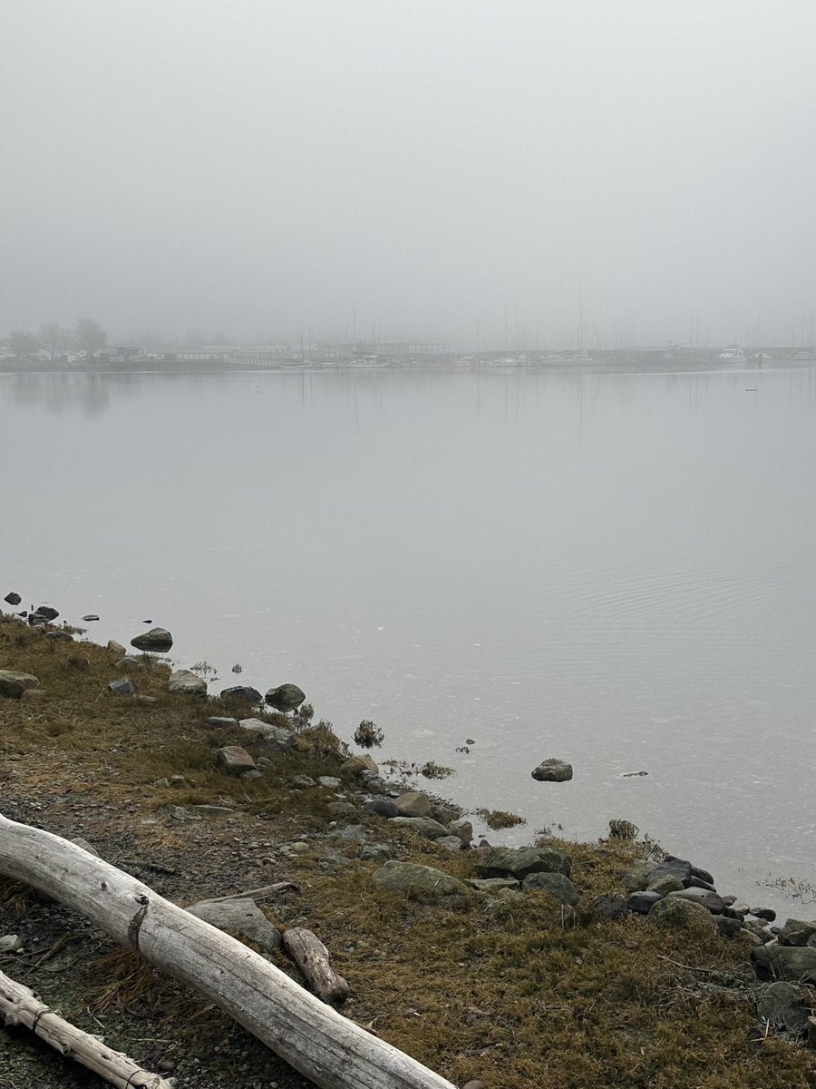 J_T_Ray's tweet photo. All the fog this week made some cool views. https://t.co/NQwE1bRrnE