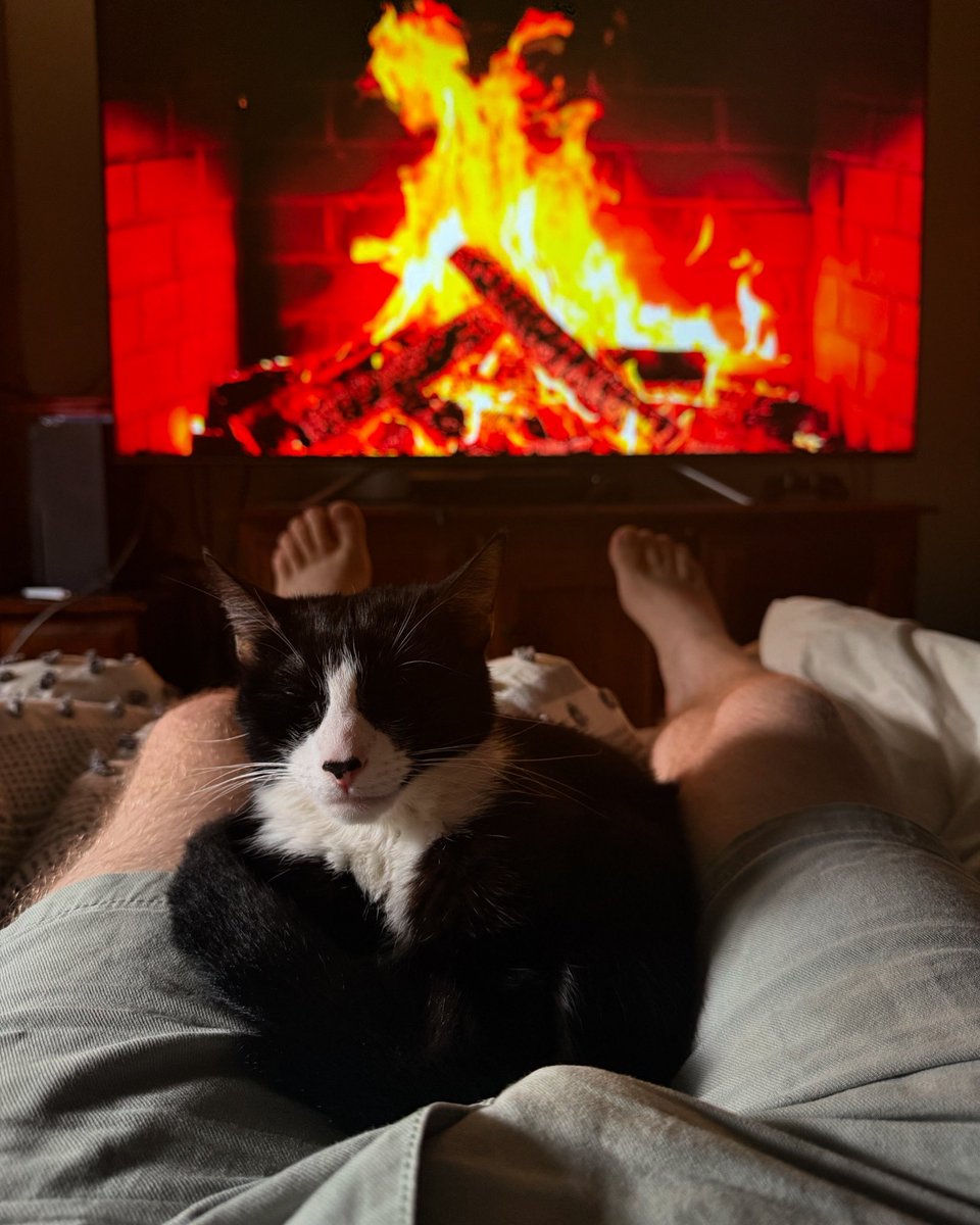 timtam12322's tweet photo. Relaxing with my angel 🐈‍⬛ https://t.co/qGu2eZlEF8