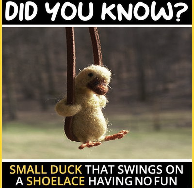 PBandJam1226 tweet media