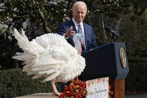 PatriotDogHouse's tweet photo. @JoeBiden applies pardons to all kinds of fouls. https://t.co/hNiEEShdmQ