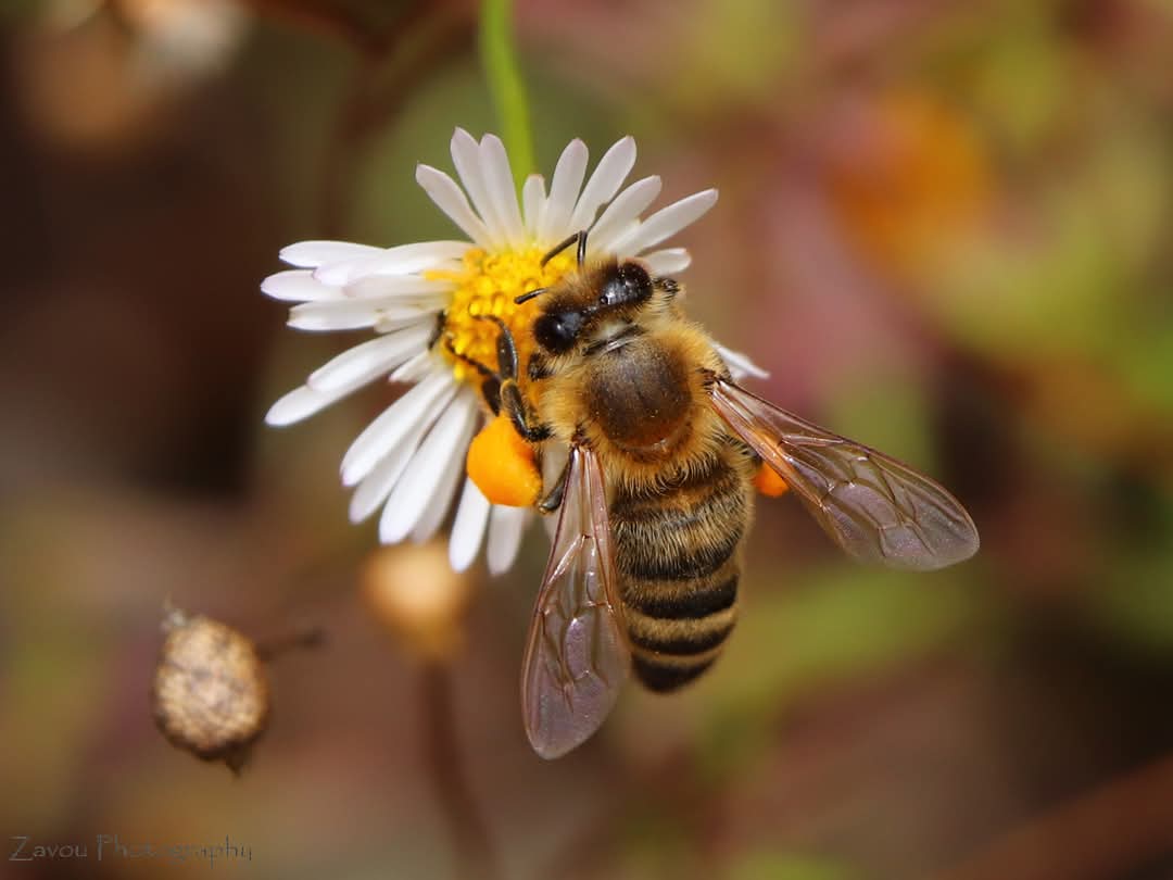 Jonathan Zavou 🎨📷 tweet media