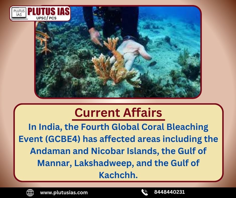 ias_plutus's tweet photo. Corals are marine invertebrates belonging to the phylum Cnidaria, which also includes jellyfish and sea anemones.
Read more:- https://t.co/mliZP6TJ1p
#newspaper #breakingnews #currentaffairs #nationalnews #LatestNews #upsc #CSE #generalknowledge #plutusias #today #06december https://t.co/ODJzWsaKVt