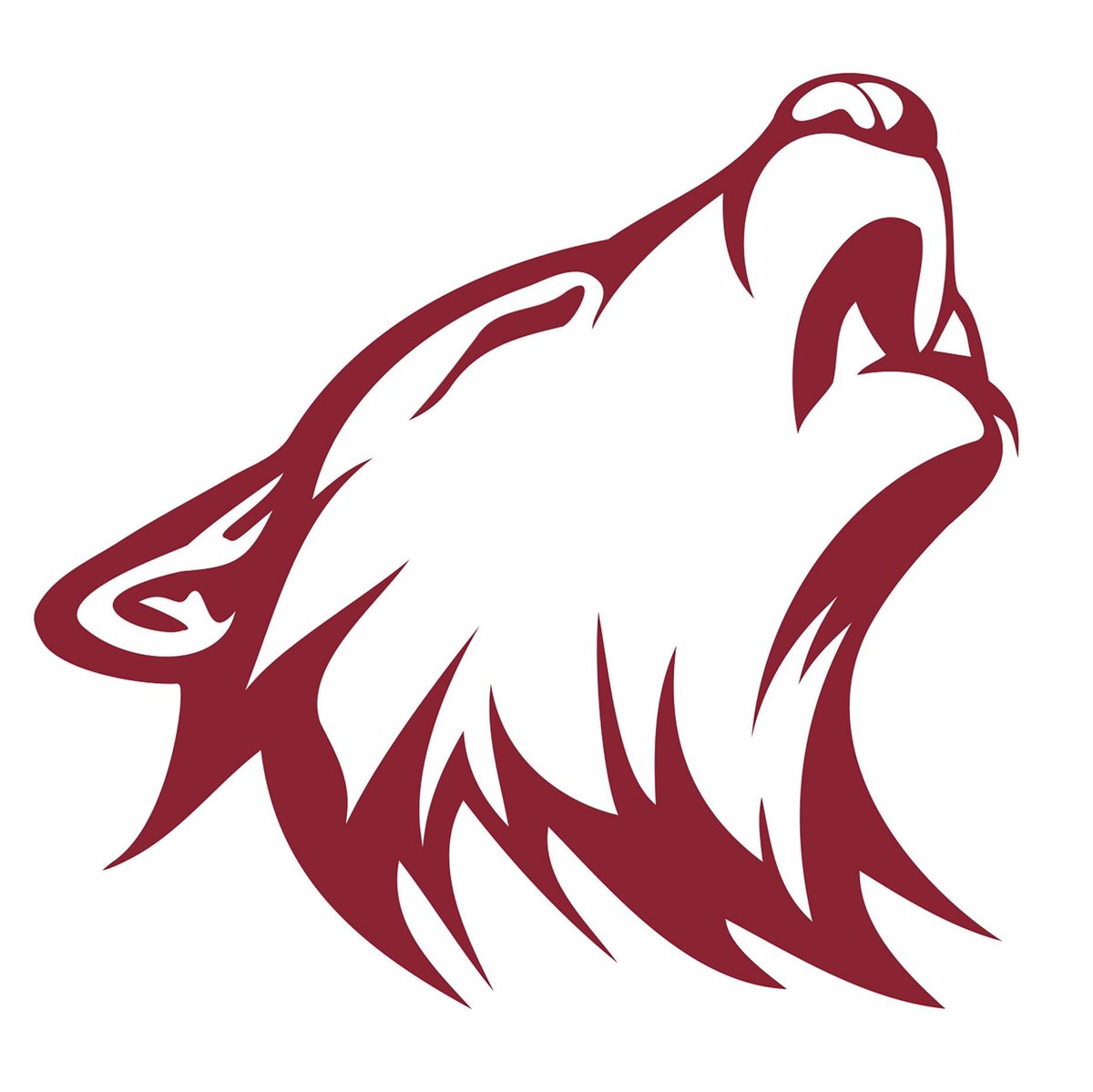 TWO-HOUR DELAY
SECSD will begin school on a two-hour delay today (Friday, 12/6) due to significant snow drifting In areas of the district.
#WeAreSE