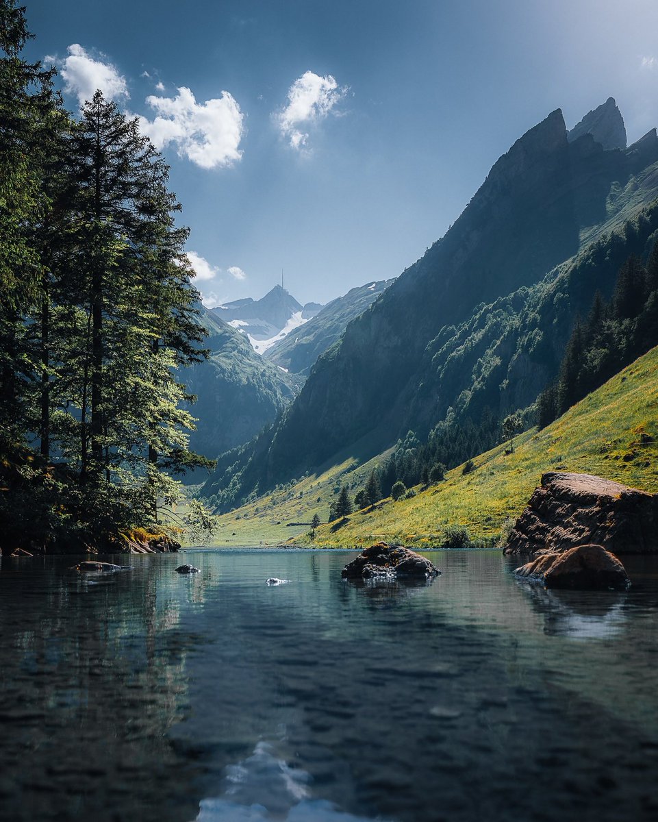 earthcurated's tweet photo. — peace 🍃 https://t.co/DOwTWLkBEv