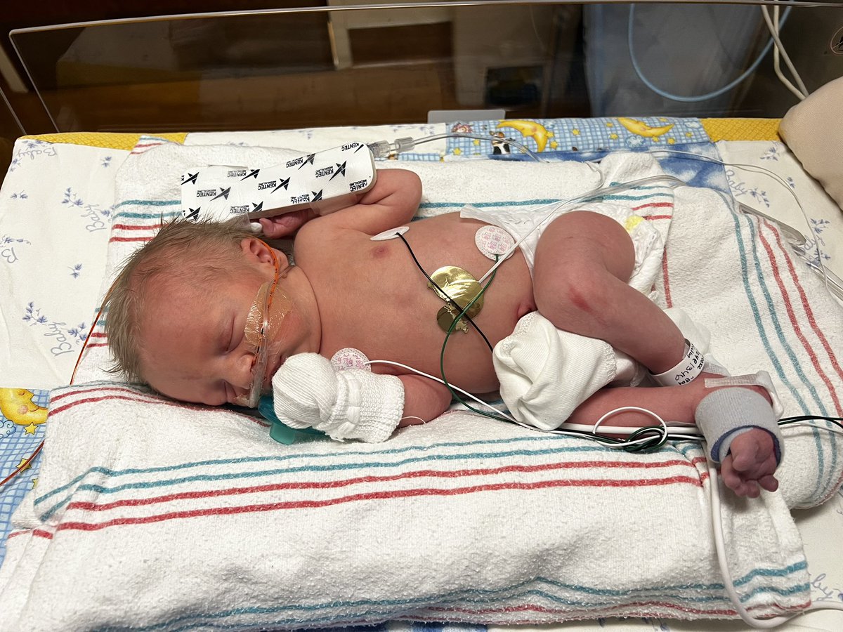 Our newest and tiniest baby Bulldogs, Clay Allen Neel was born on December 4th at 1:46pm, 18.5 inches long and weighting in at 5 lbs 15 oz at 34 weeks and 5 days! We are so in love and can’t wait to watching him grow! 🩵