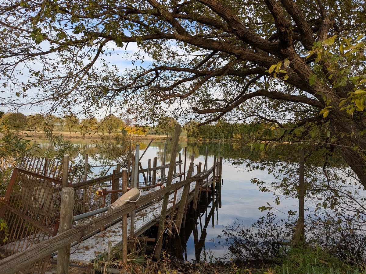 Yamaguchi CEO and his wife (the Executive Dir) of Marujin treated us to kusa dango (mugwort and read bean paste) and mitarashi (sweet soy sauce) dango and even gave us tsukudani as a souvenir.  

#japanese #CEOs #are #so #generous #with #snacks #sophiacom #sophiacommunications
